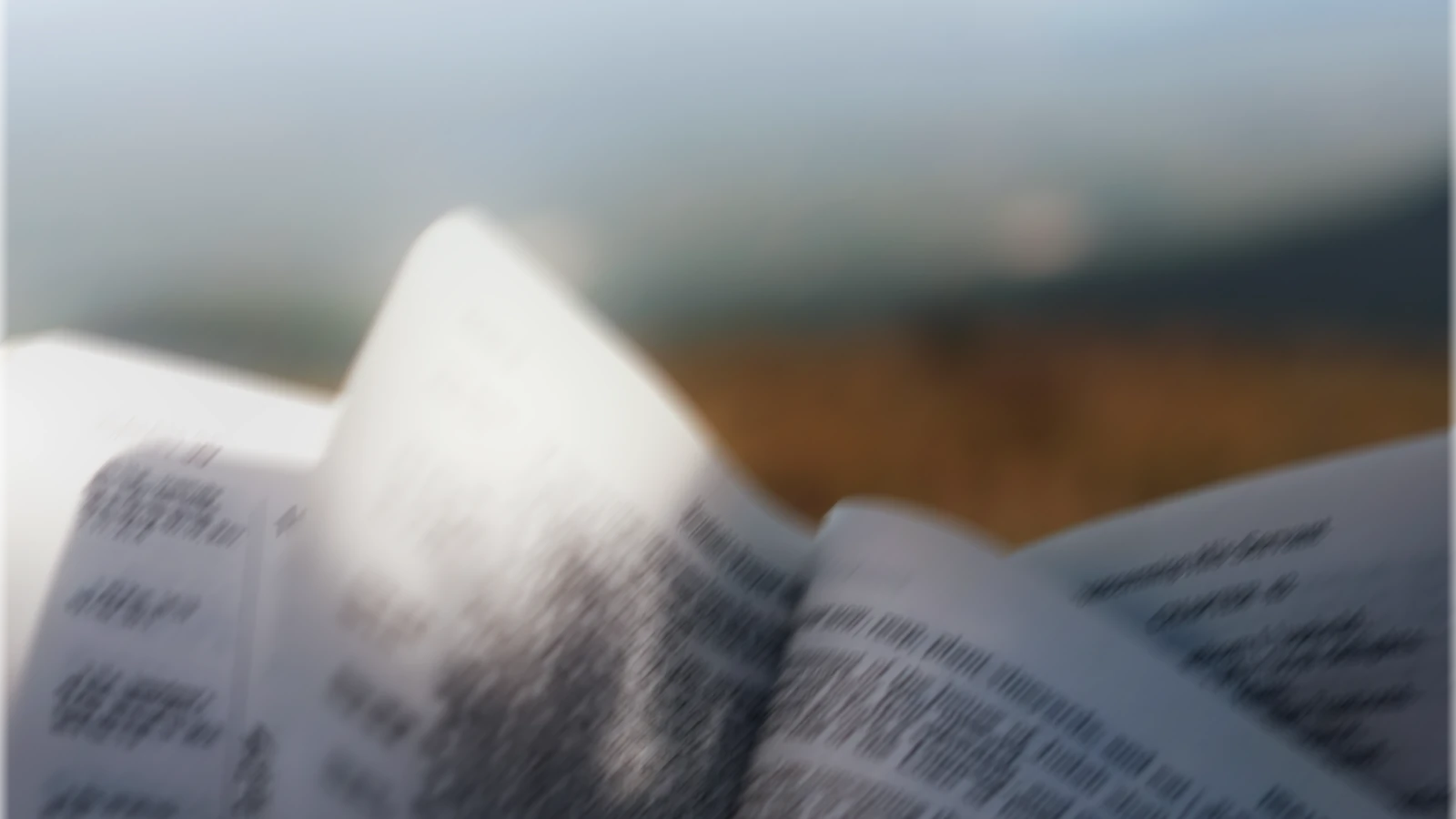 FLAM TBA — campanha pós-graduação